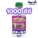 แอ็กวิล 1L ขวด [เฮกซะโคนาโซล] ลัง×12