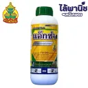 แอ็กซ่า 1L ขวด [คาซูกาไมซินไฮโดรคลอไรด์ไฮเดรต] ลัง×12