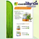 เวอตาโก 50g กระปุก [คลอแรนทรานิลิโพรล+ไทอะมีทอกแซม] ลัง×2กล่อง×20กระปุก