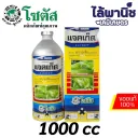 แจคเก็ต 1L ขวด [อะบาเมกติน] ลัง×12