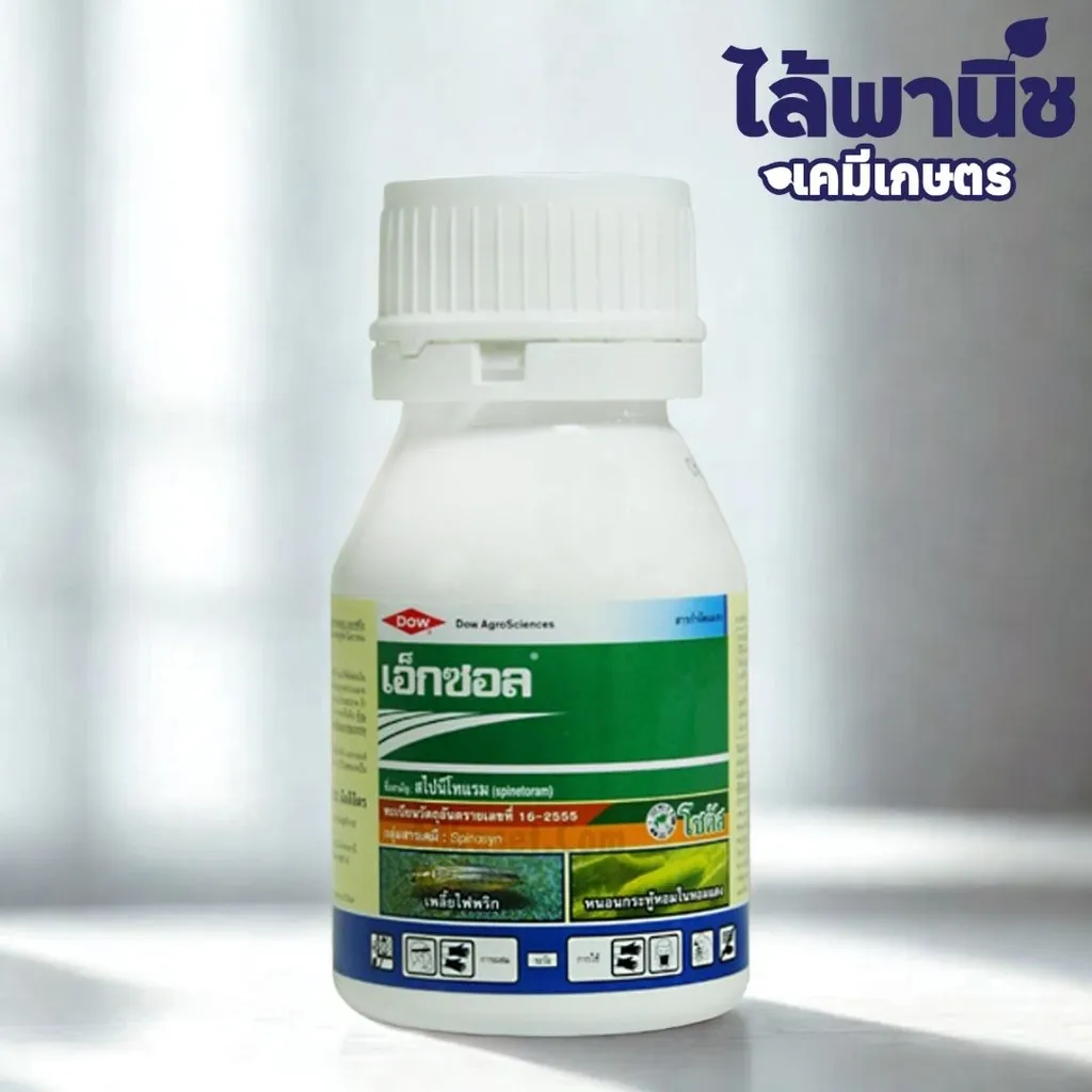 เอ็กซ์ซอล 250cc ขวด [สไปนีโทแรม] ลัง×24
