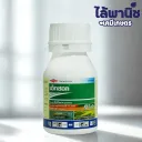 เอ็กซ์ซอล 250cc ขวด [สไปนีโทแรม] ลัง×24