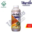 อะซีทามิพริด 1L ขวด (ภูเขาเขียว) [อะซีทามิพริด] ลัง×12