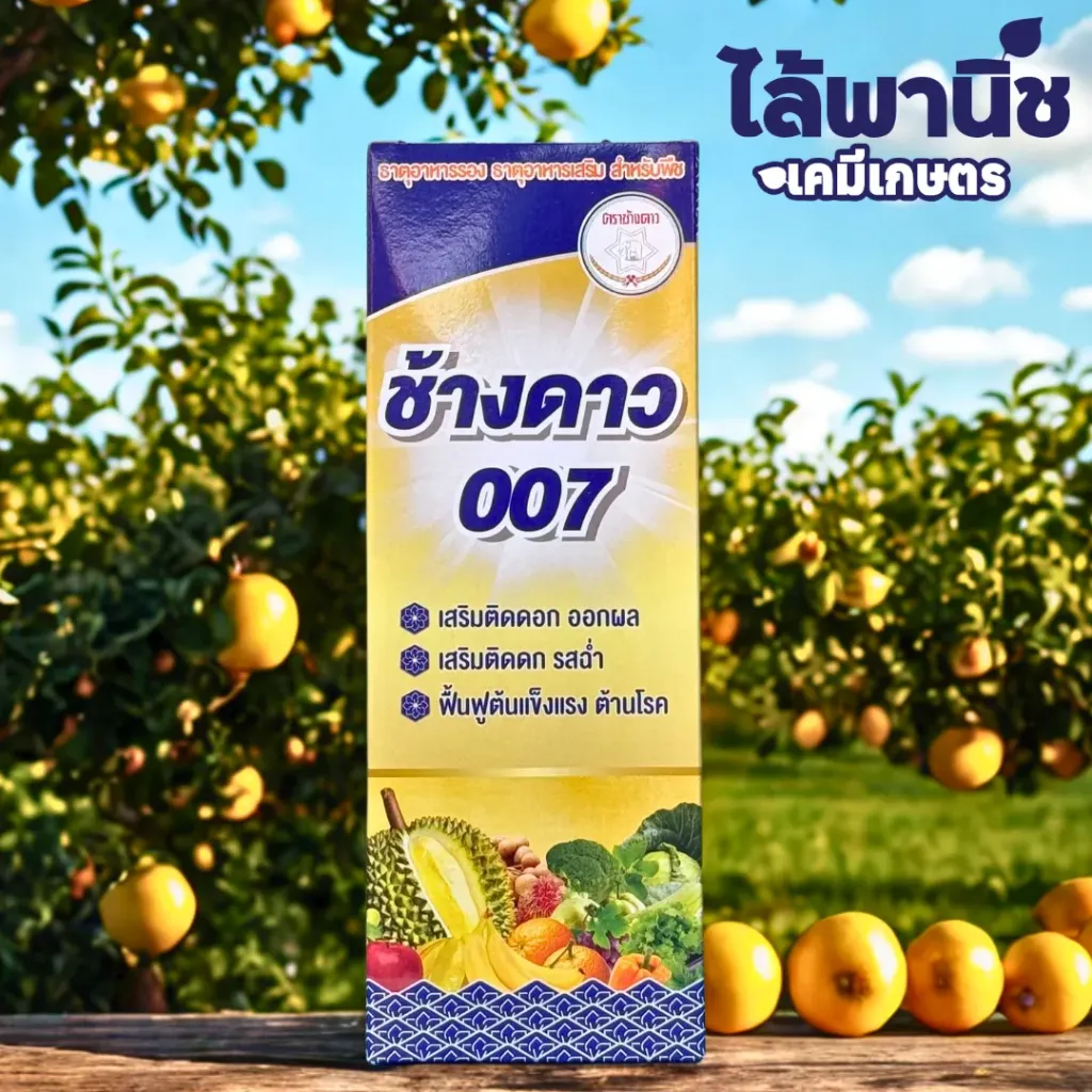 ช้างดาว007 1L กล่อง ลังx12