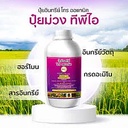 โกรออแกนิค (ม่วง) 1L ขวด (เร่งดอก+เพิ่มการติดผล) ลังx12