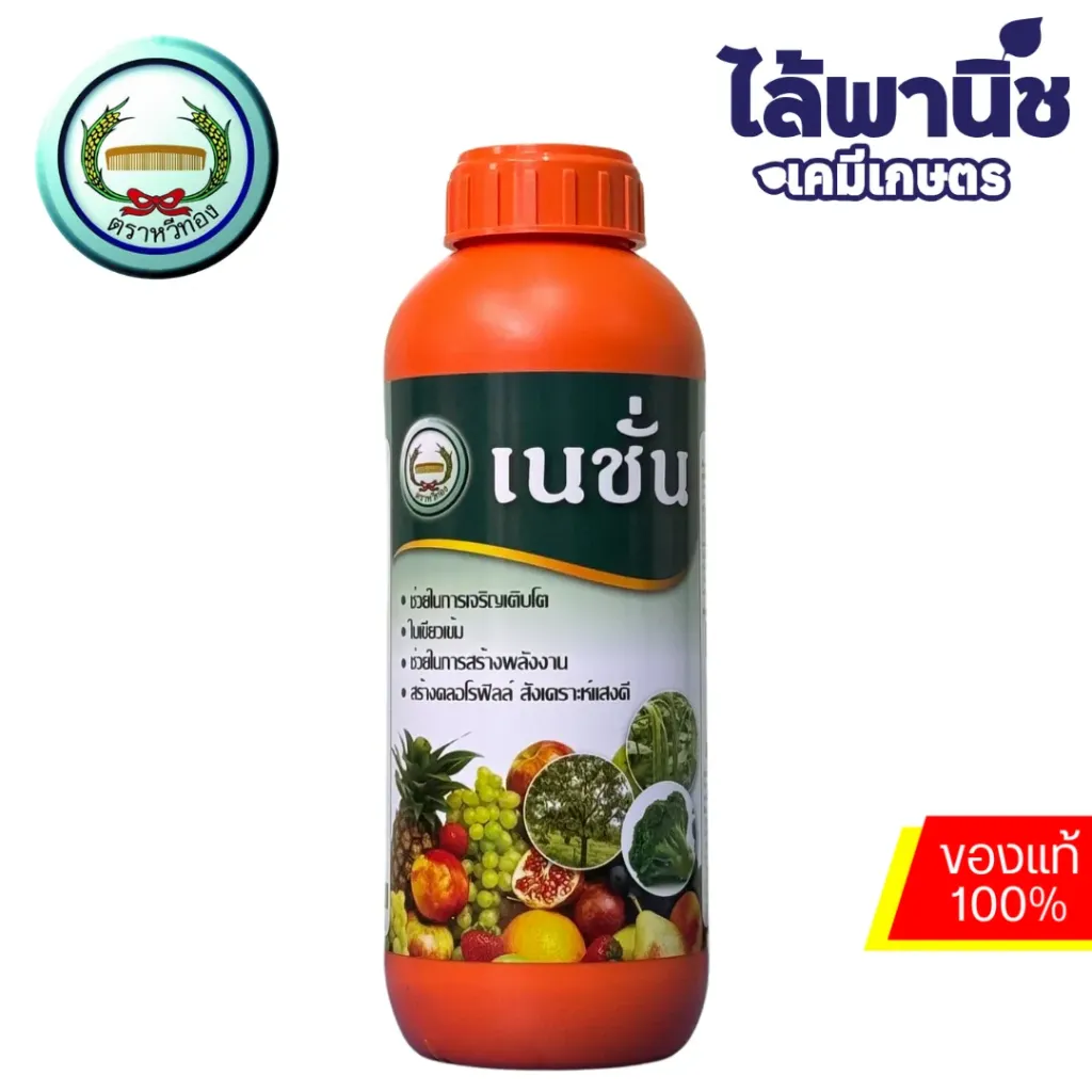 เนชั่น 1L ขวด ลังx12