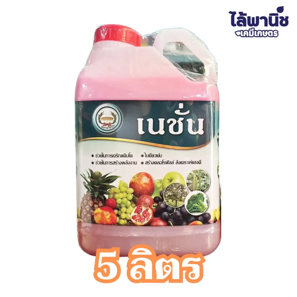 เนชั่น 5L แกลลอน ลังx4
