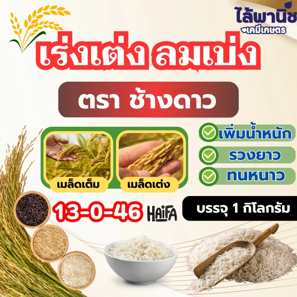 เร่งเต่ง 1kg ถุง ลังx30