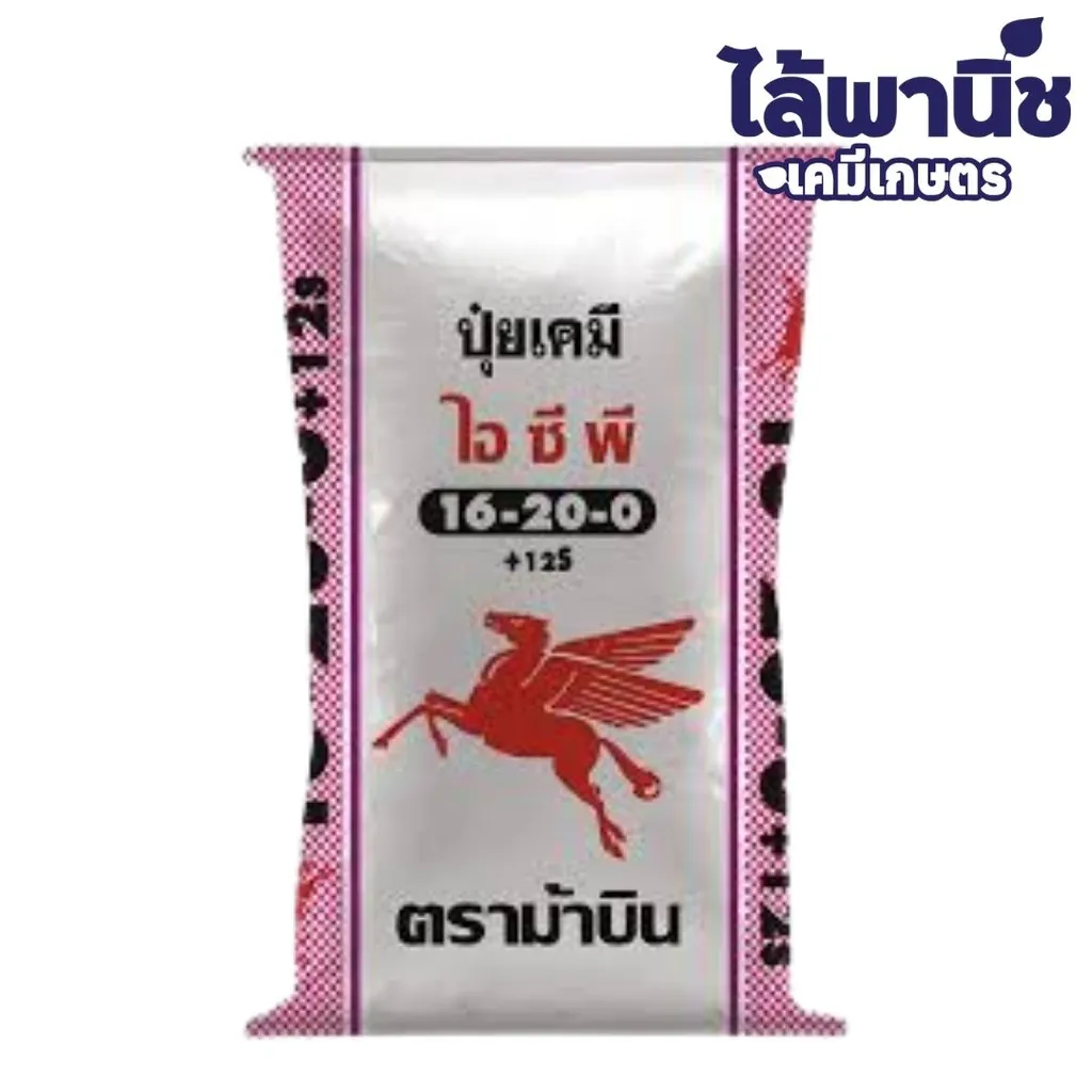 ปุ๋ย 16-20-0 ม้าบิน 50kg