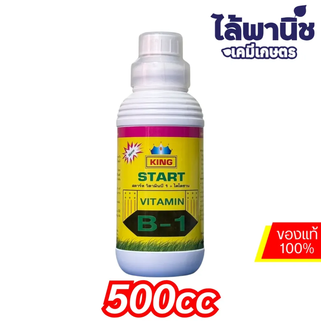 สตาร์ท B-1 500cc ขวด ลัง×12
