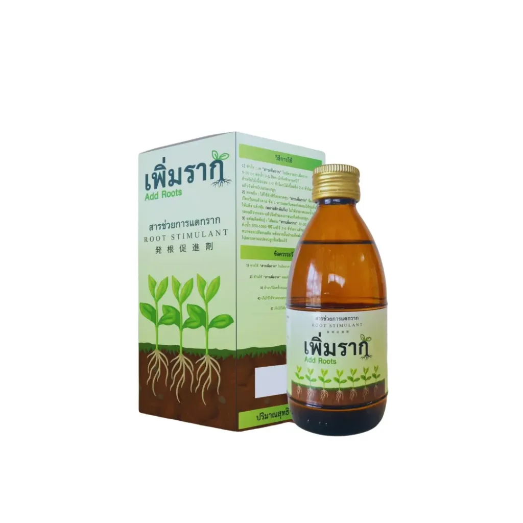 เพิ่มราก 100cc กล่อง ลังx48
