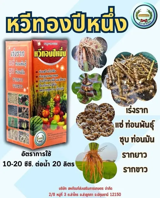 หวีทองปีหนึ่ง 100cc กล่อง ลัง×24