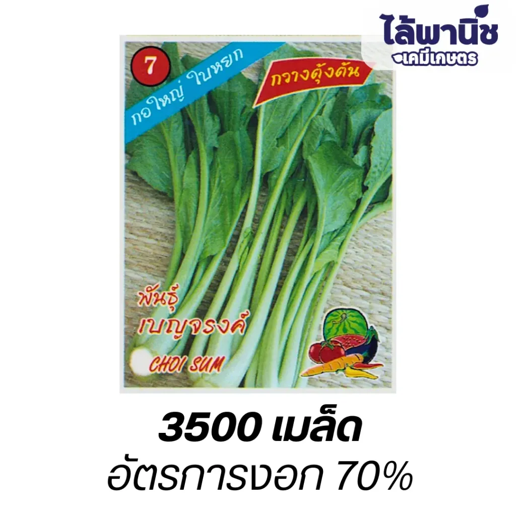 กวางตุ้งต้นพันธุ์เบญจรงค์ (ตราตอง3) ซอง