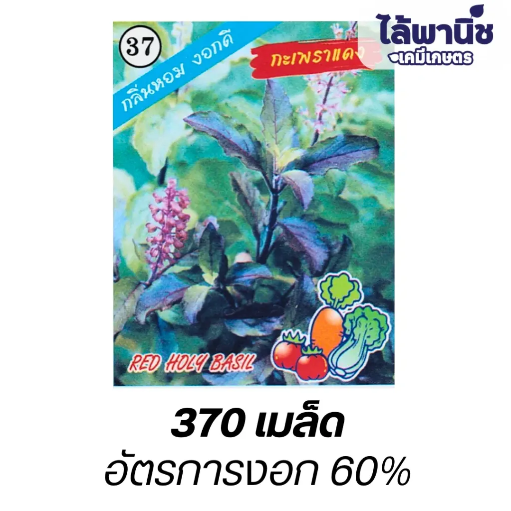 กะเพราแดง (ตราตอง3) ซอง