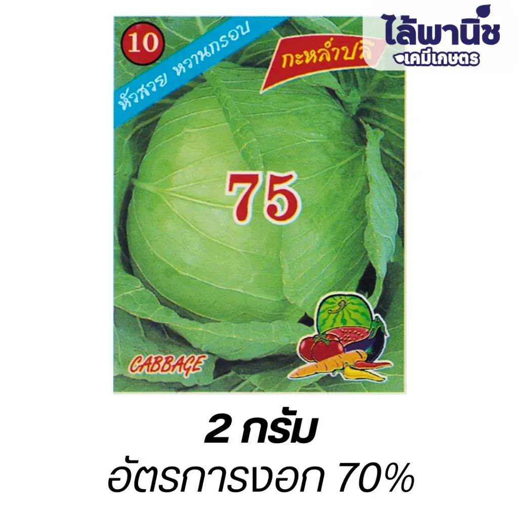 กะหล่ำปลี75 (ตราตอง3) ซอง