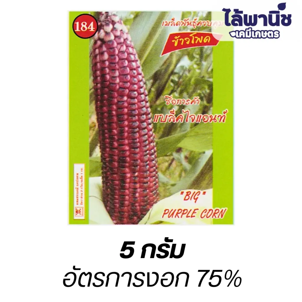 ข้าวโพดแบล็คไจแอนท์ (ตราตอง3) ซอง