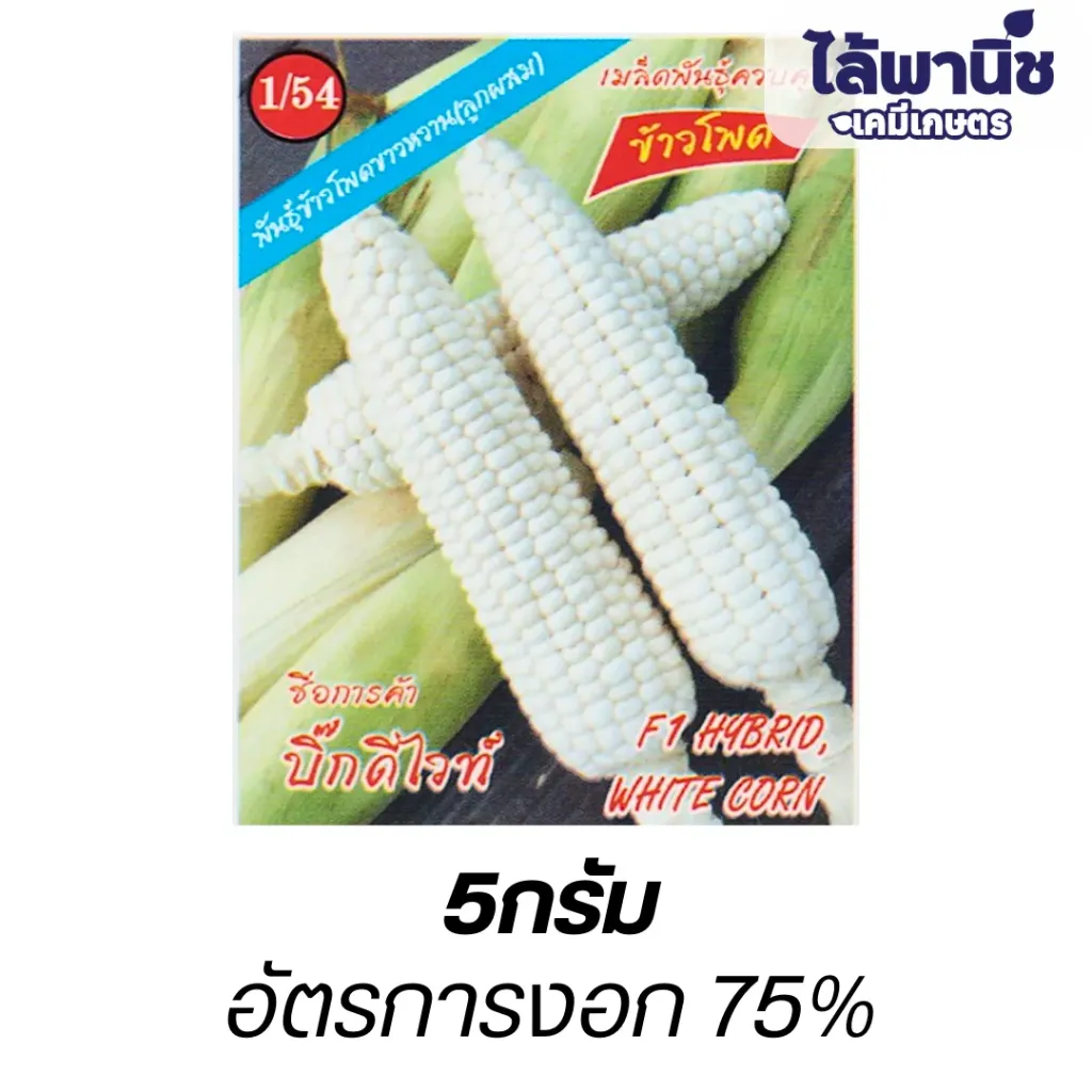 ข้าวโพดขาวF1 บิ๊กดีไวท์ (ตราตอง3) ซองมุมแดง