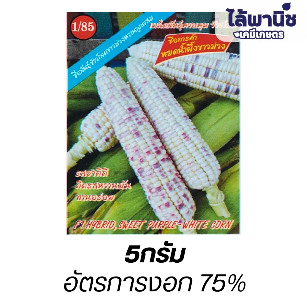 ข้าวโพดขาวม่วงF1 หยดน้ำผึ้งขาวม่วง (ตราตอง3) ซองมุมแดง