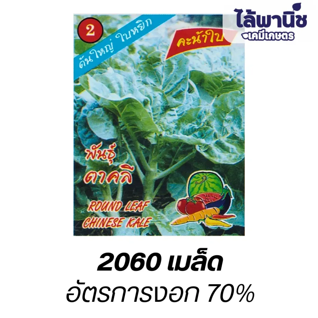 คะน้าใบพันธุ์ตาคลี (ตราตอง3) ซอง