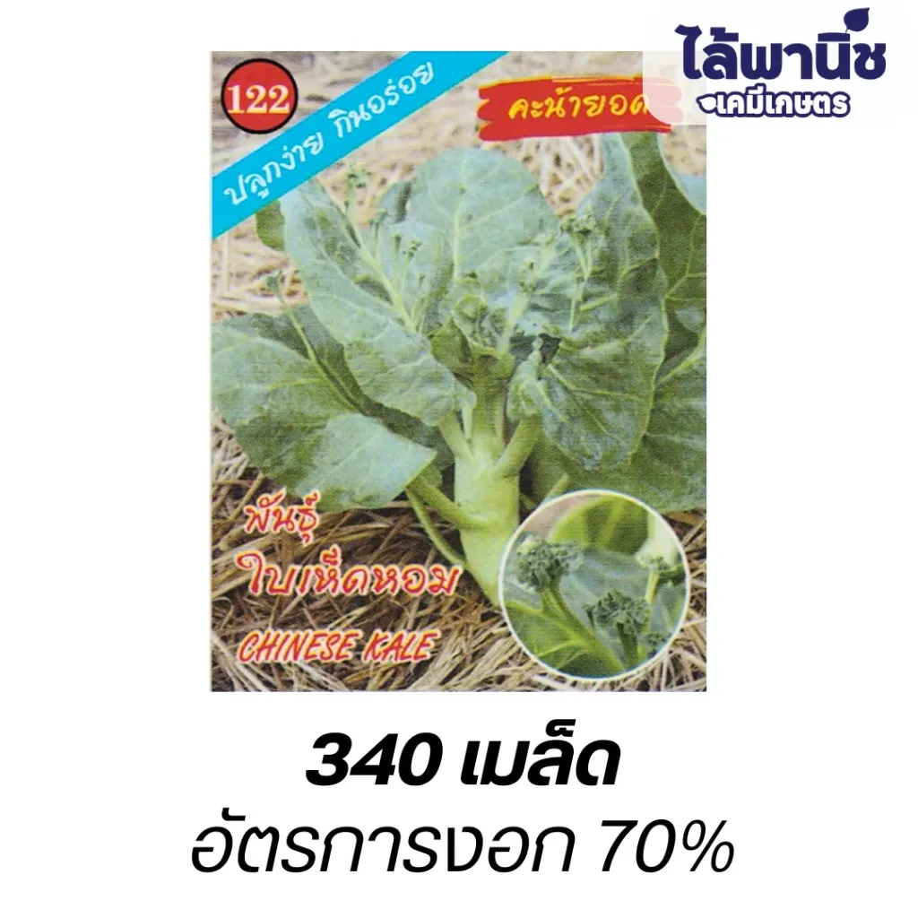 คะน้าใบเห็ดหอม (ตราตอง3) ซอง