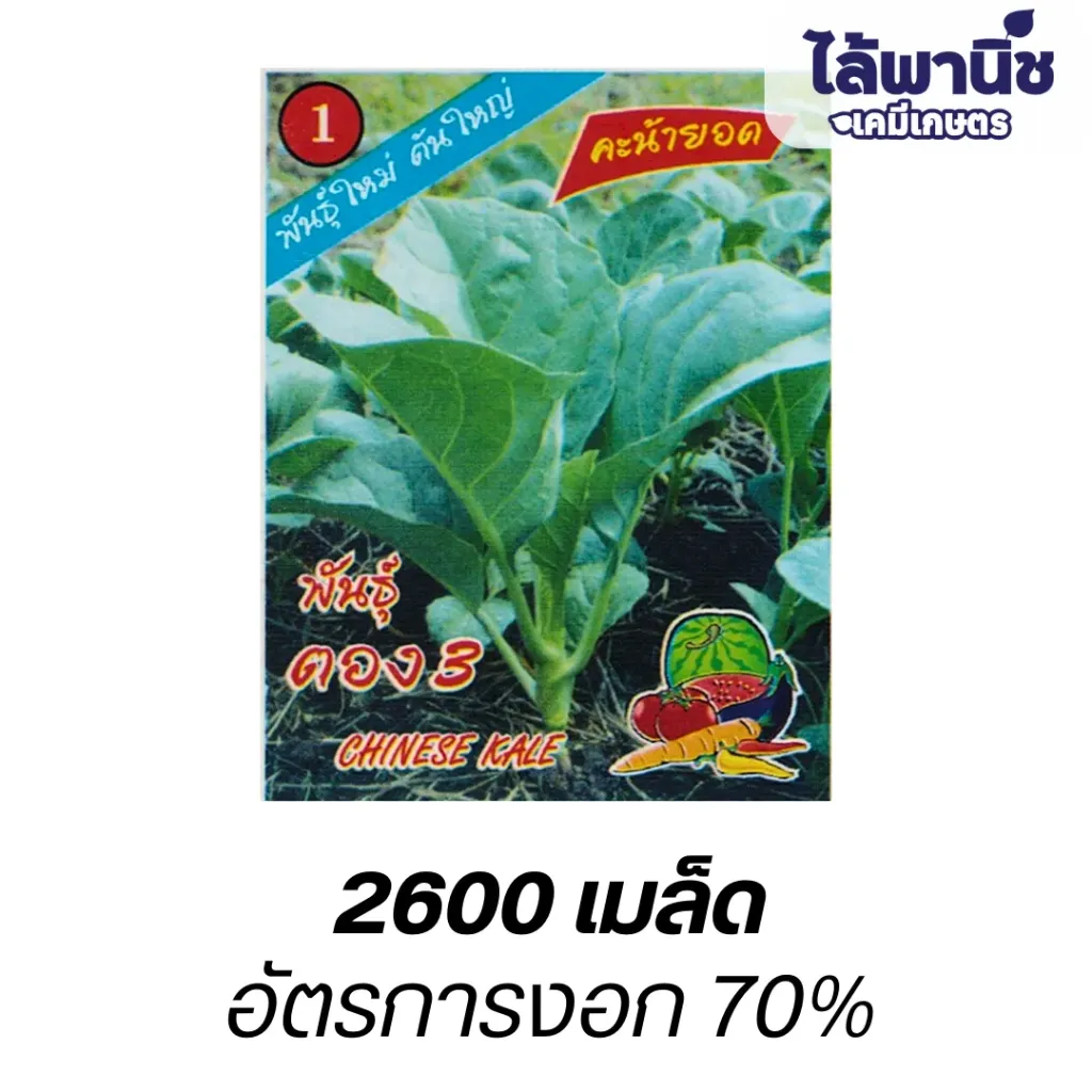 คะน้ายอดพันธุ์ (ตราตอง3) ซอง