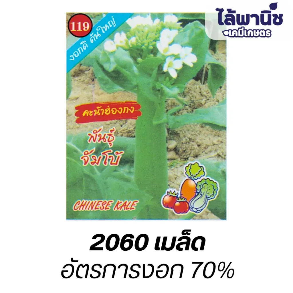 คะน้าฮ่องกงจัมโบ้ (ตราตอง3) ซอง