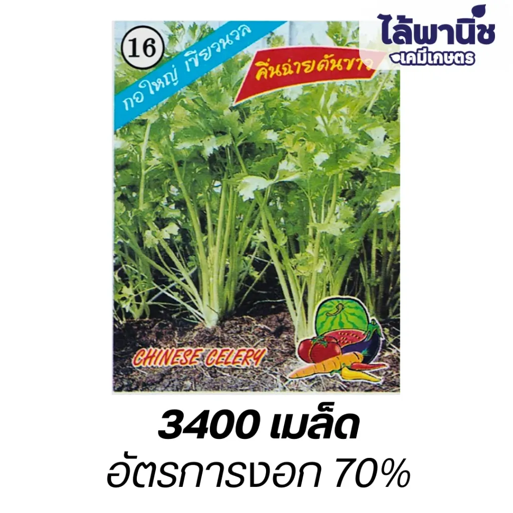 คื่นฉ่าย (ตราตอง3) ซอง