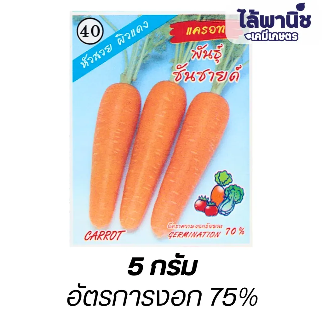 แครอท (ตราตอง3) ซอง