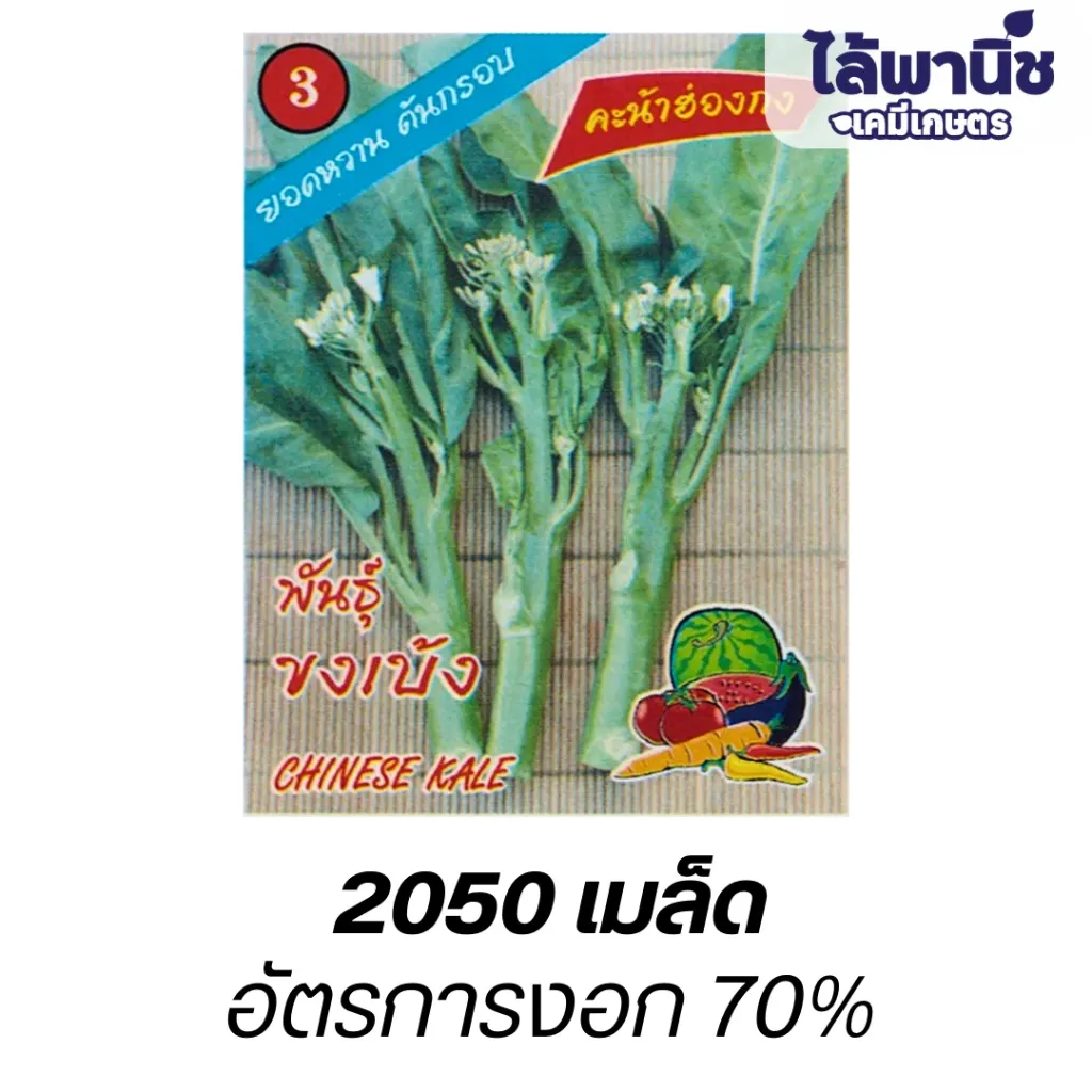 คะน้าฮ่องกงพันธุ์ขงเบ้ง (ตราตอง3) ซอง
