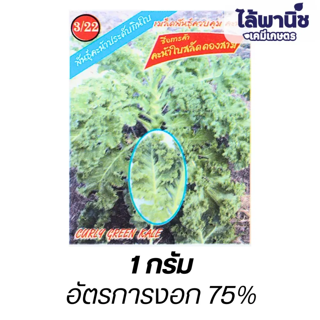 คะน้าใบสลัด (ตราตอง3) ซอง