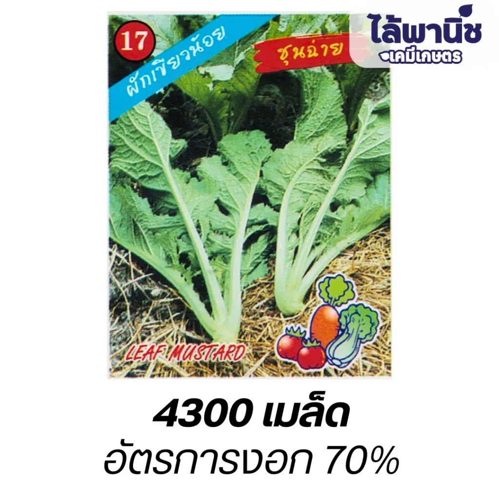ชุนฉ่าย (ตราตอง3) ซอง