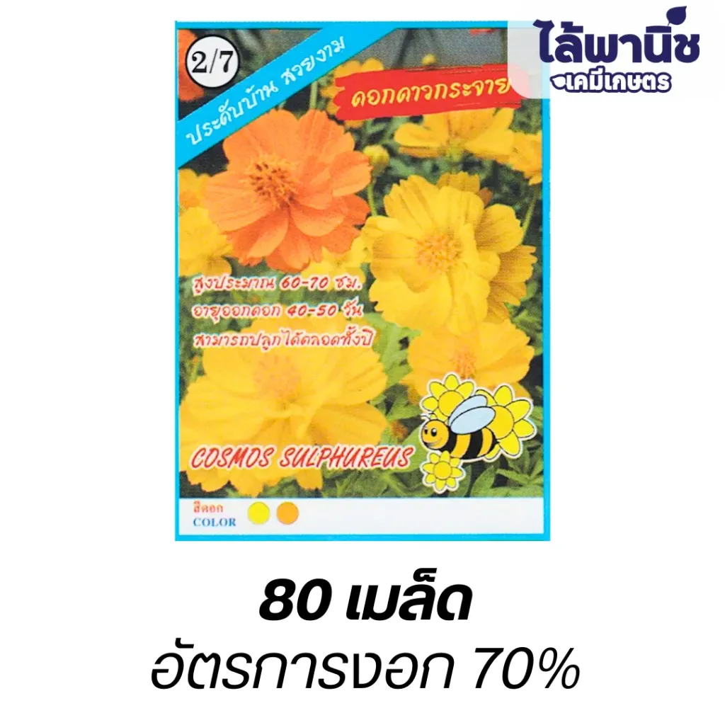 ดอกดาวกระจาย (ตราปลาทองตอง3) ซอง