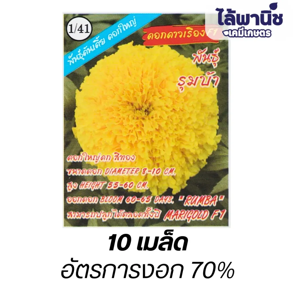 ดอกดาวเรืองF1"พันธุ์รุมบ้า" (ตราปลาทองตอง3) ซอง