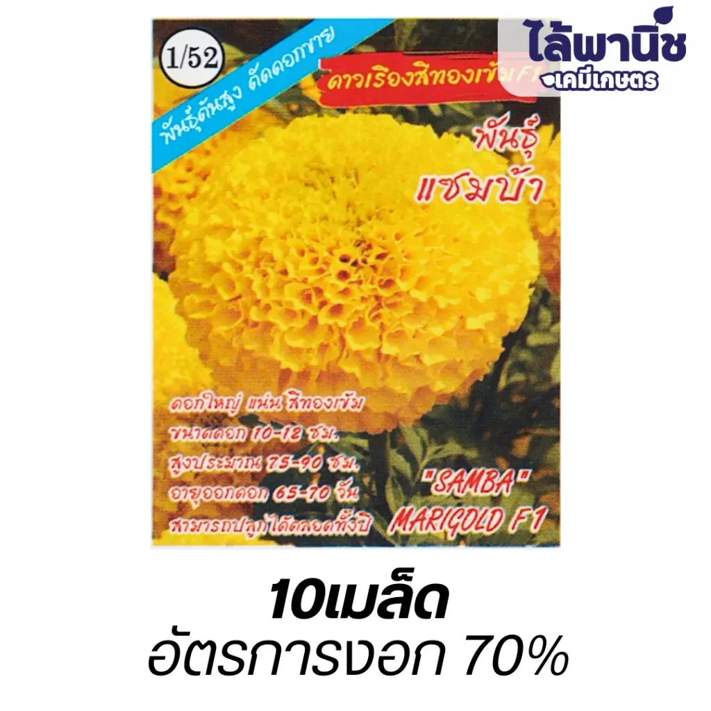 ดอกดาวเรืองสีทองF1 พันธุ์แซมบ้า (ตราปลาทองตอง3) ซอง