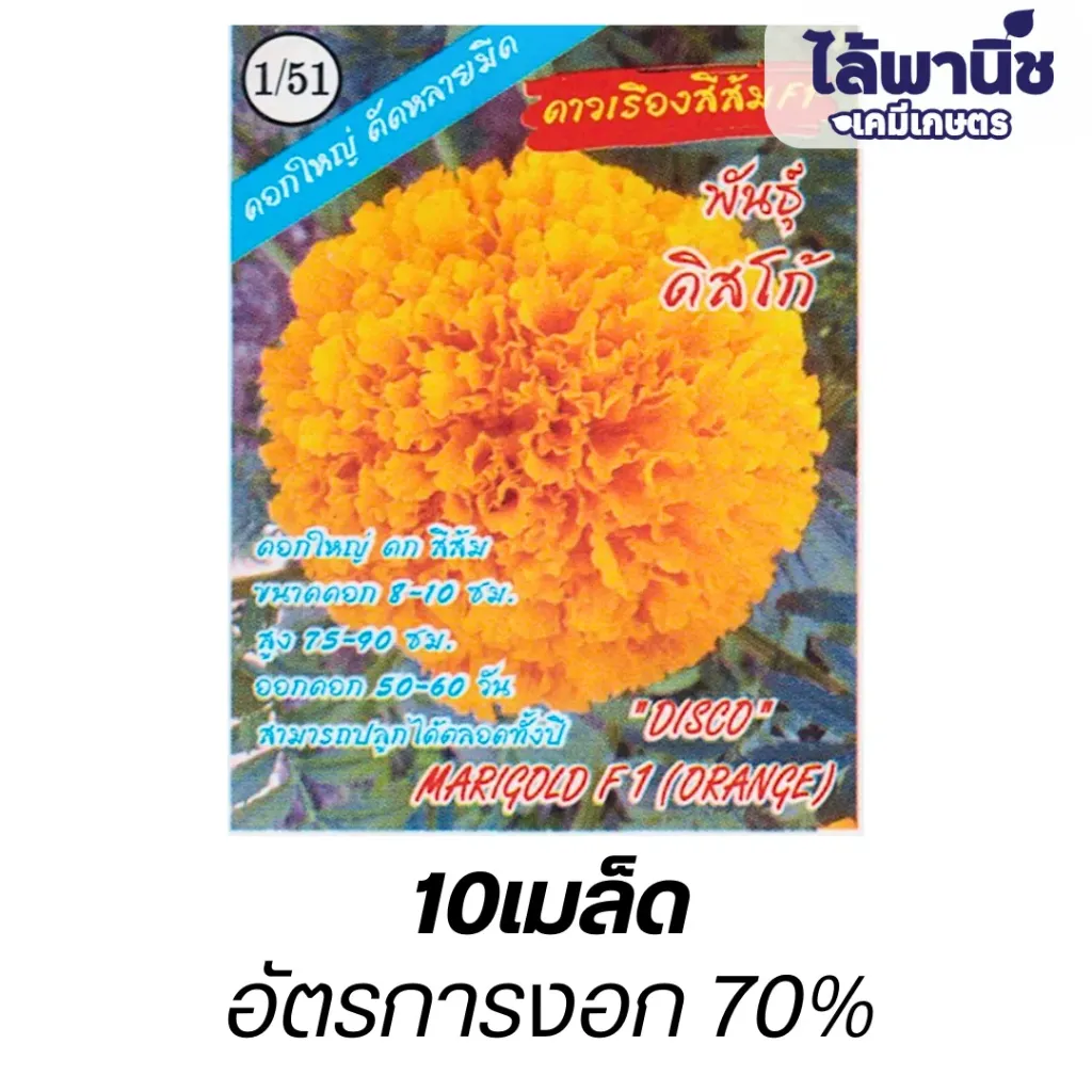 ดอกดาวเรืองสีส้มF1 พันธุ์ดิสโก้ (ตราปลาทองตอง3) ซอง
