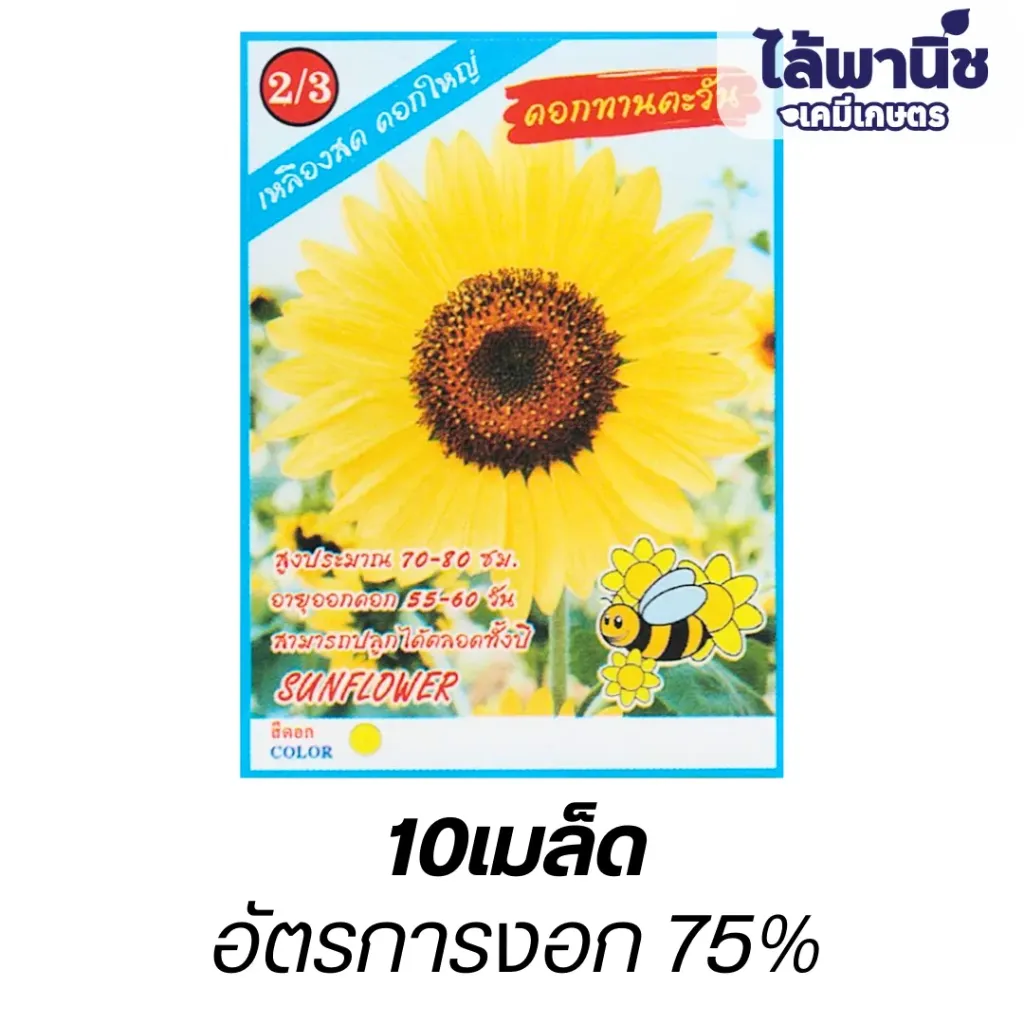 ดอกทานตะวัน (ตราตอง3) ซอง