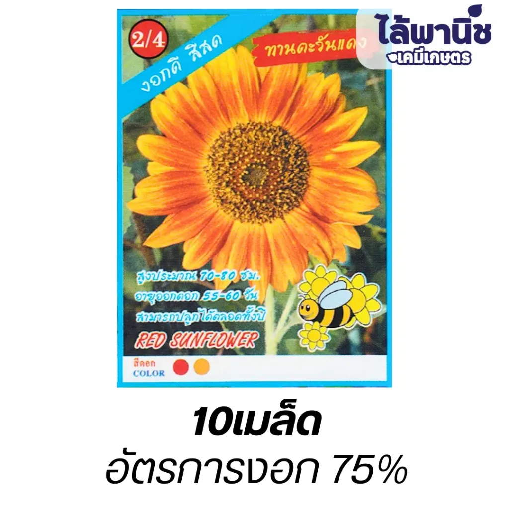 ดอกทานตะวันแดง (ตราตอง3) ซอง