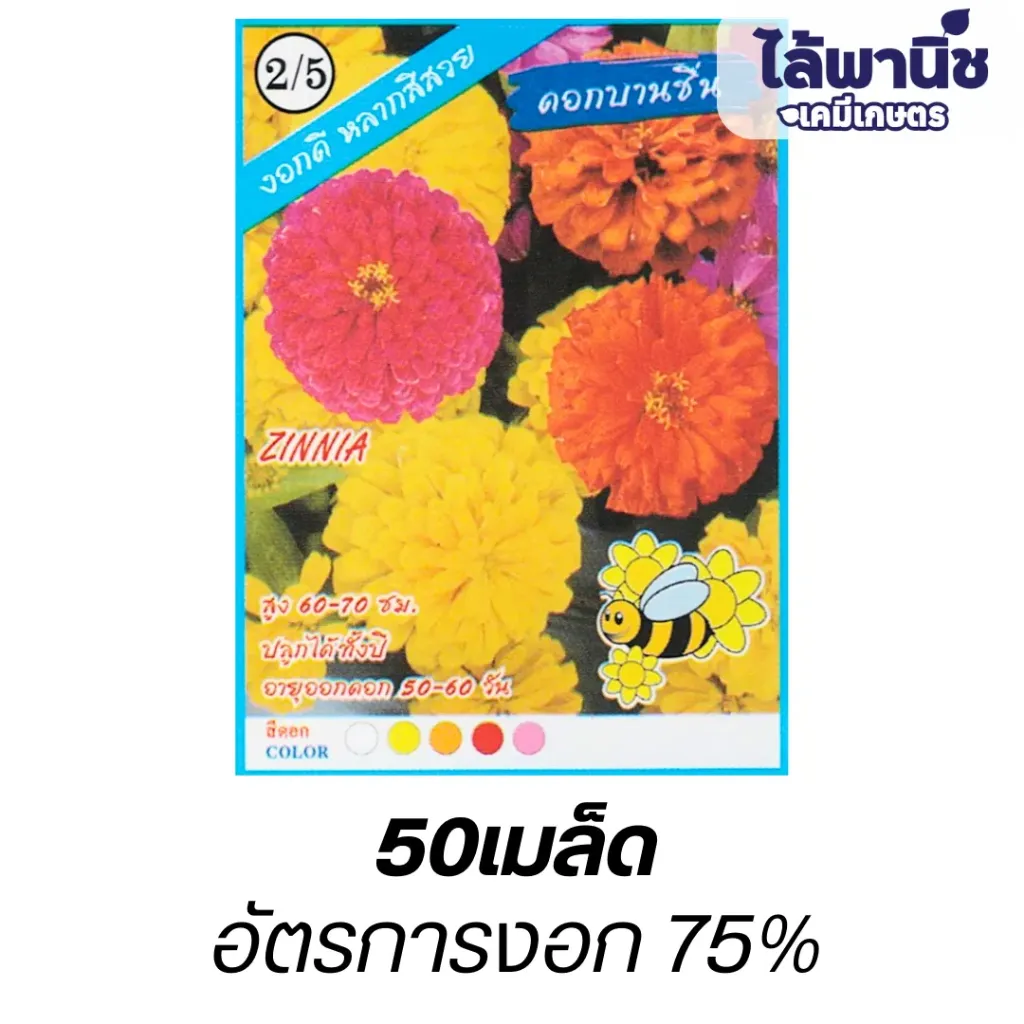 ดอกบานชื่น (ตราปลาทองตอง3) ซอง