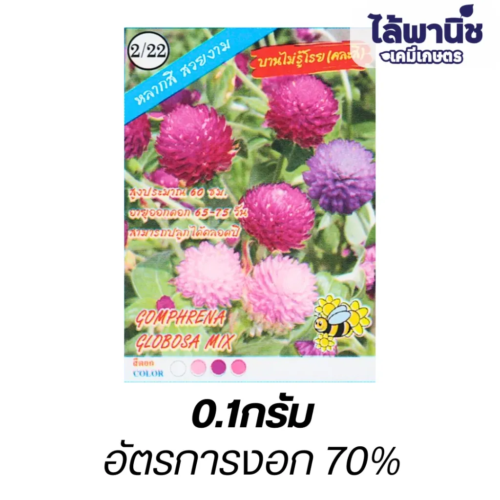 ดอกบานไม่รู้โรย คละสี (ตราปลาทองตอง3) ซอง