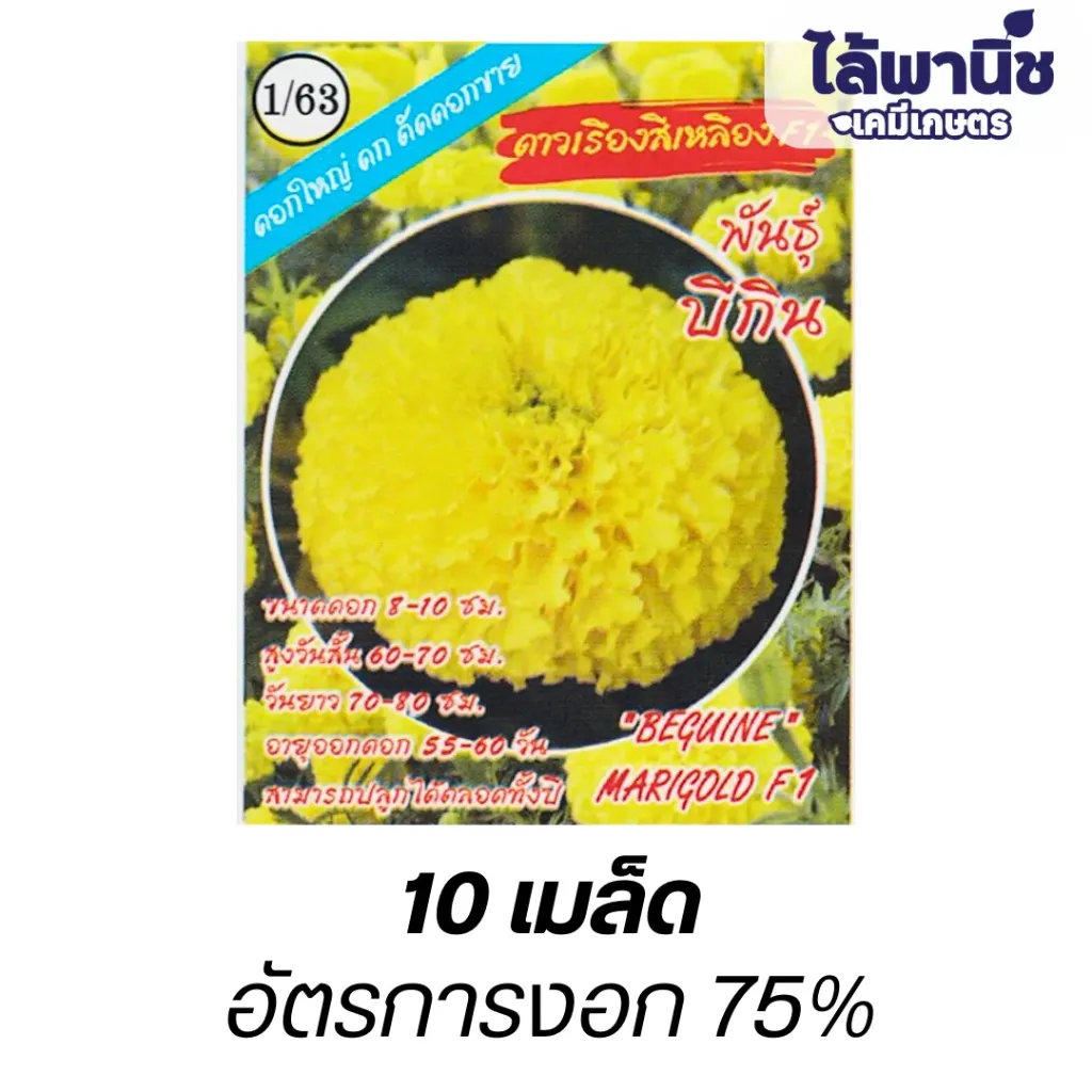 ดอกดาวเรืองF1"พันธุ์บีกิน" (ตราปลาทองตอง3) ซอง