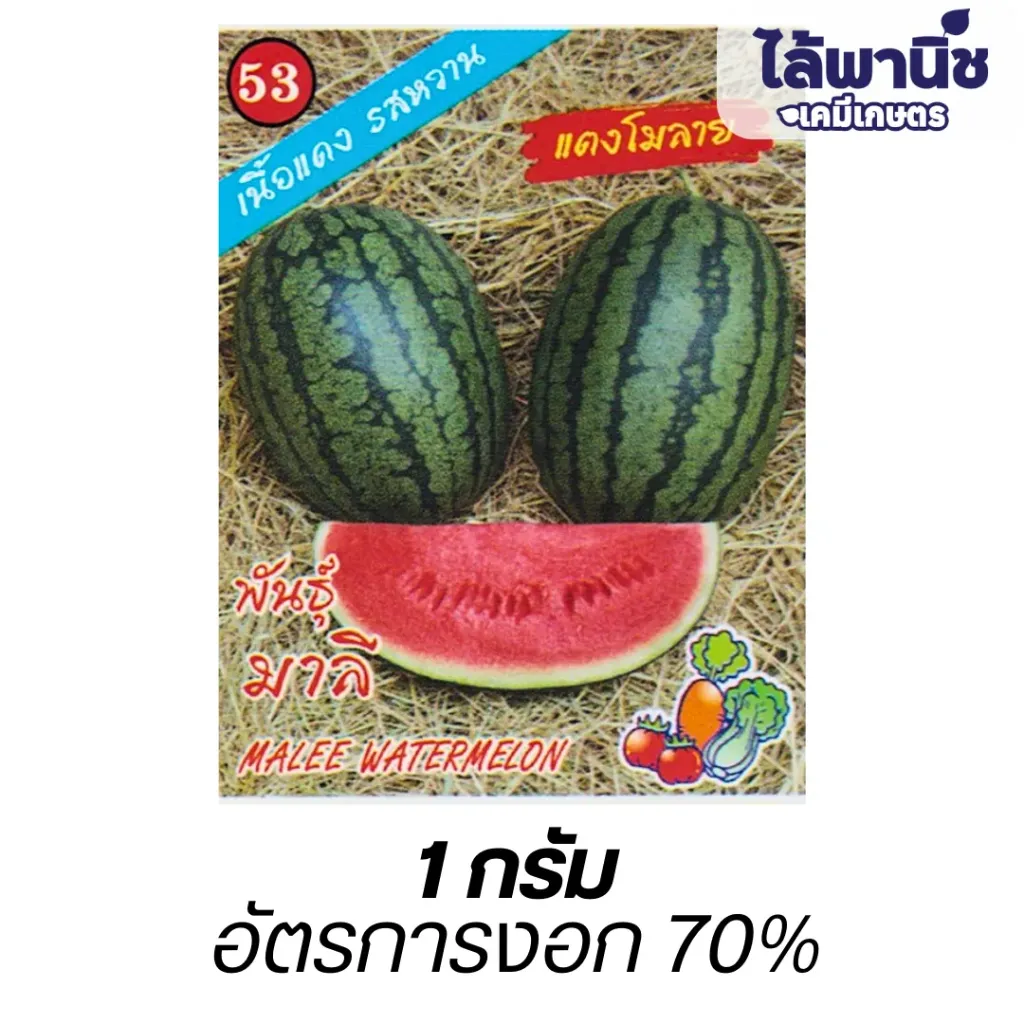 แตงโมลายมาลี (ตราตอง3) ซอง
