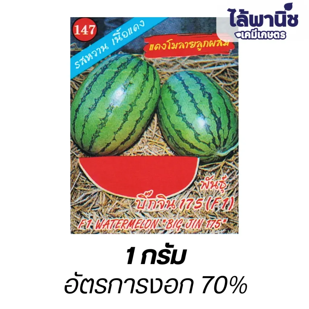แตงโมบิ๊กจิน175 (ตราตอง3) ซองมุมแดง