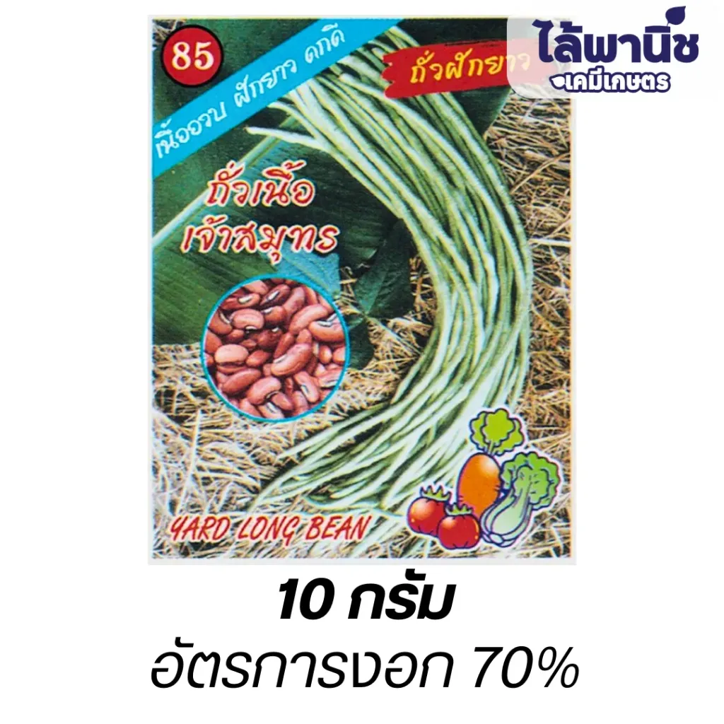 ถั่วเนื้อพันธุ์เจ้าสมุทร (ตราตอง3) ซอง