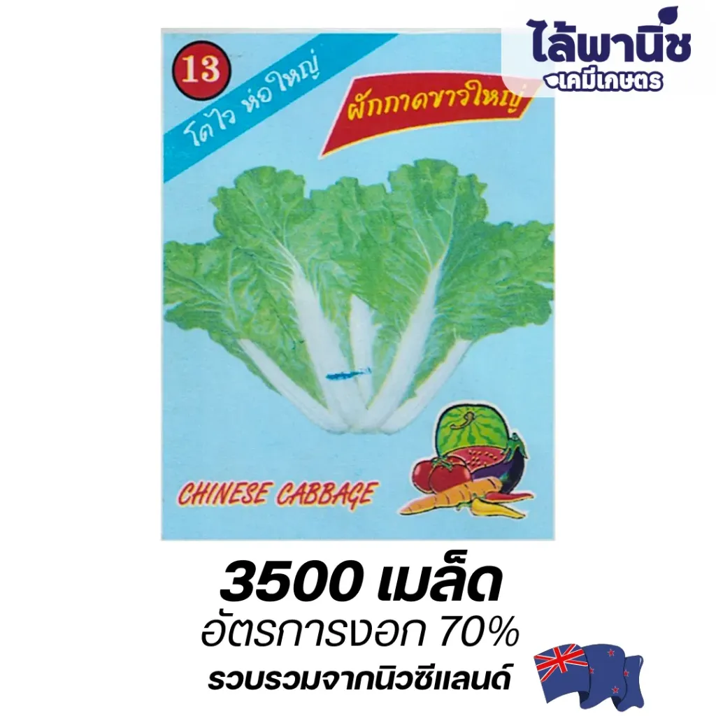 ผักกาดขาวใหญ่ (ตราตอง3) ซอง