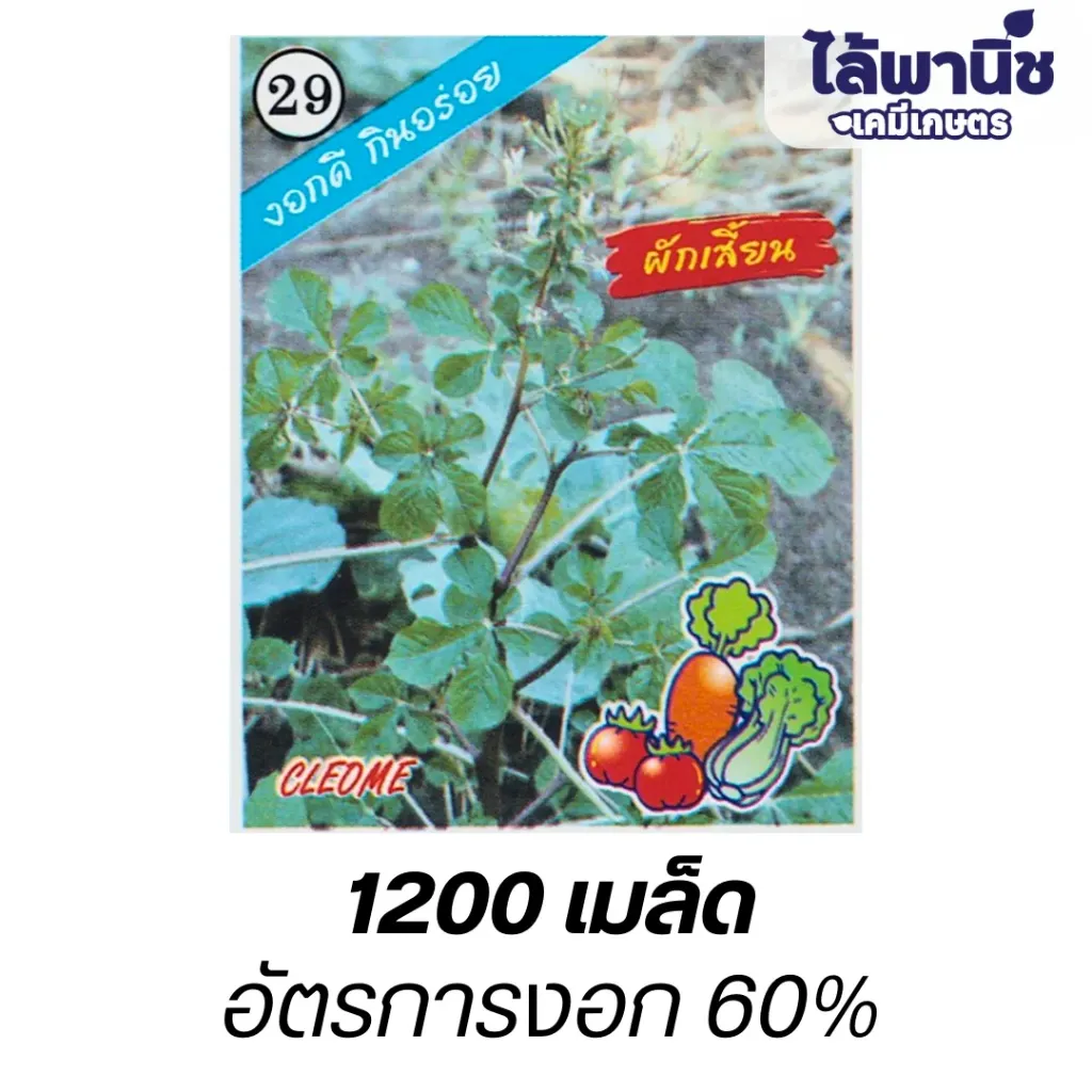 ผักเสี้ยน (ตราตอง3) ซอง