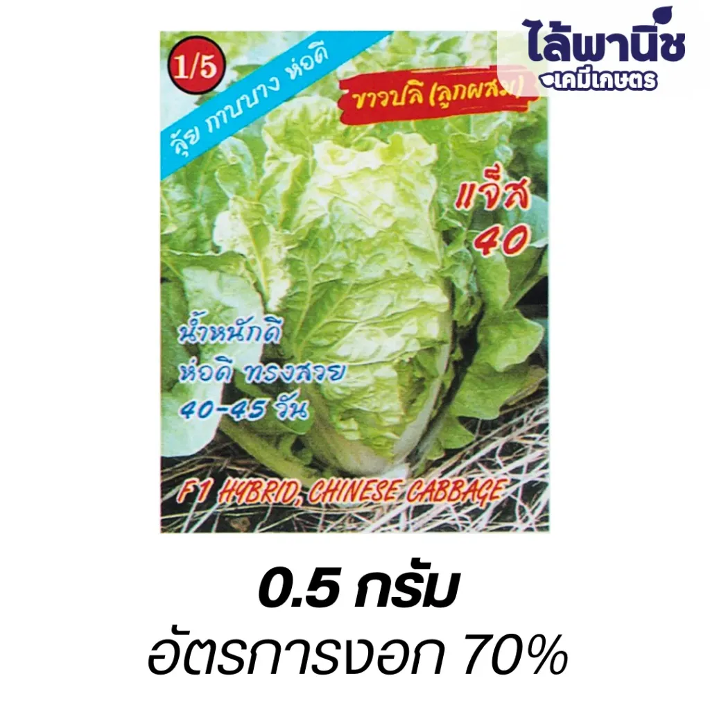 ผักกาดขาวลุ้ยแจ็ส40 (ตราตอง3) ซอง