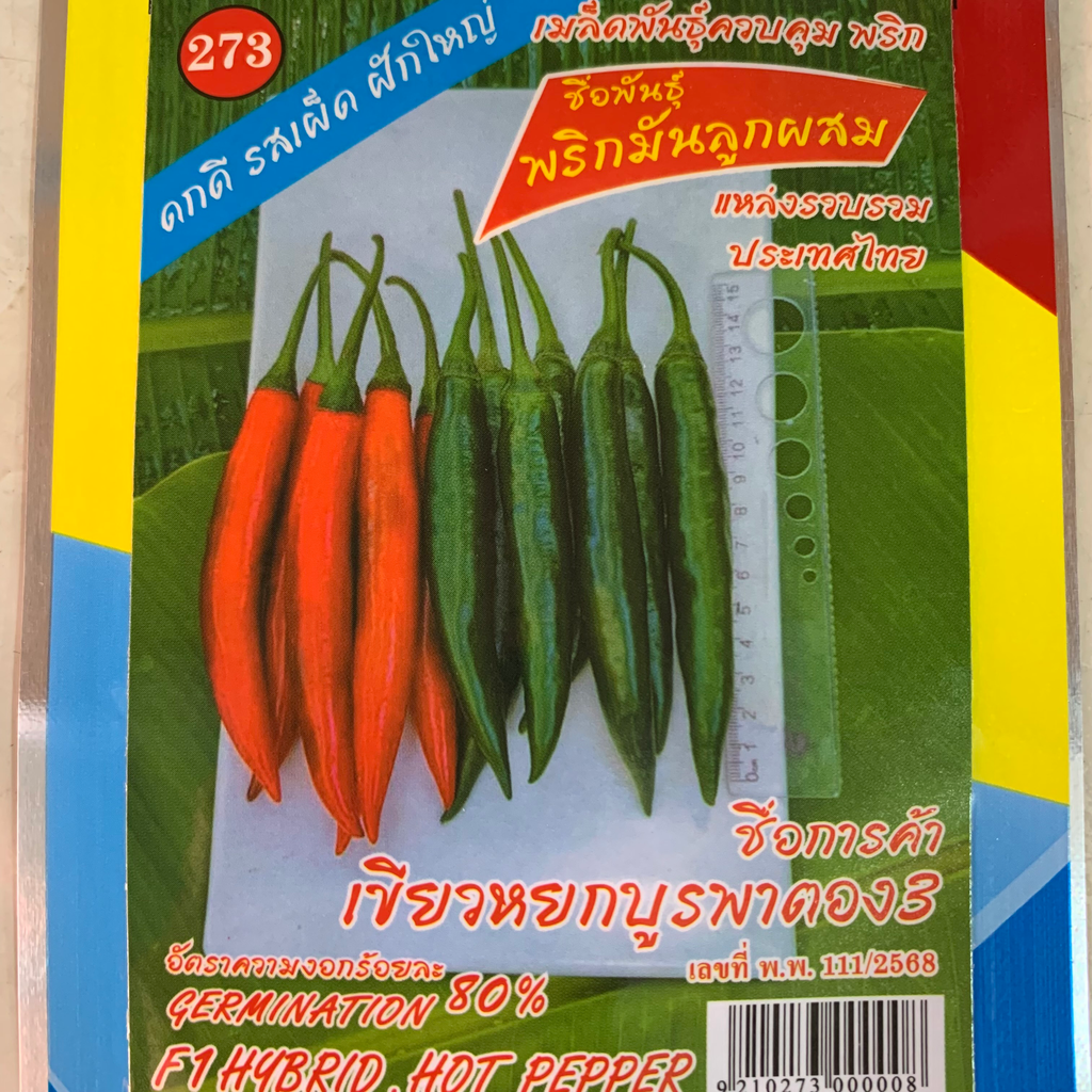 พริกมัน F1 "เขียวหยกบูรพา" (ตราตอง3) ซองมุมแดง