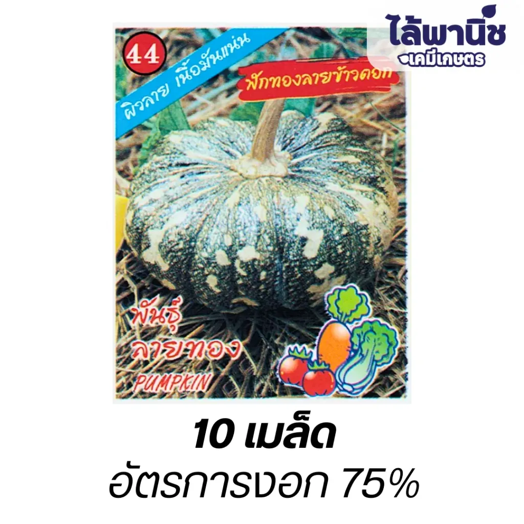 ฟักทองลายข้าวตอก (ตราตอง3) ซอง