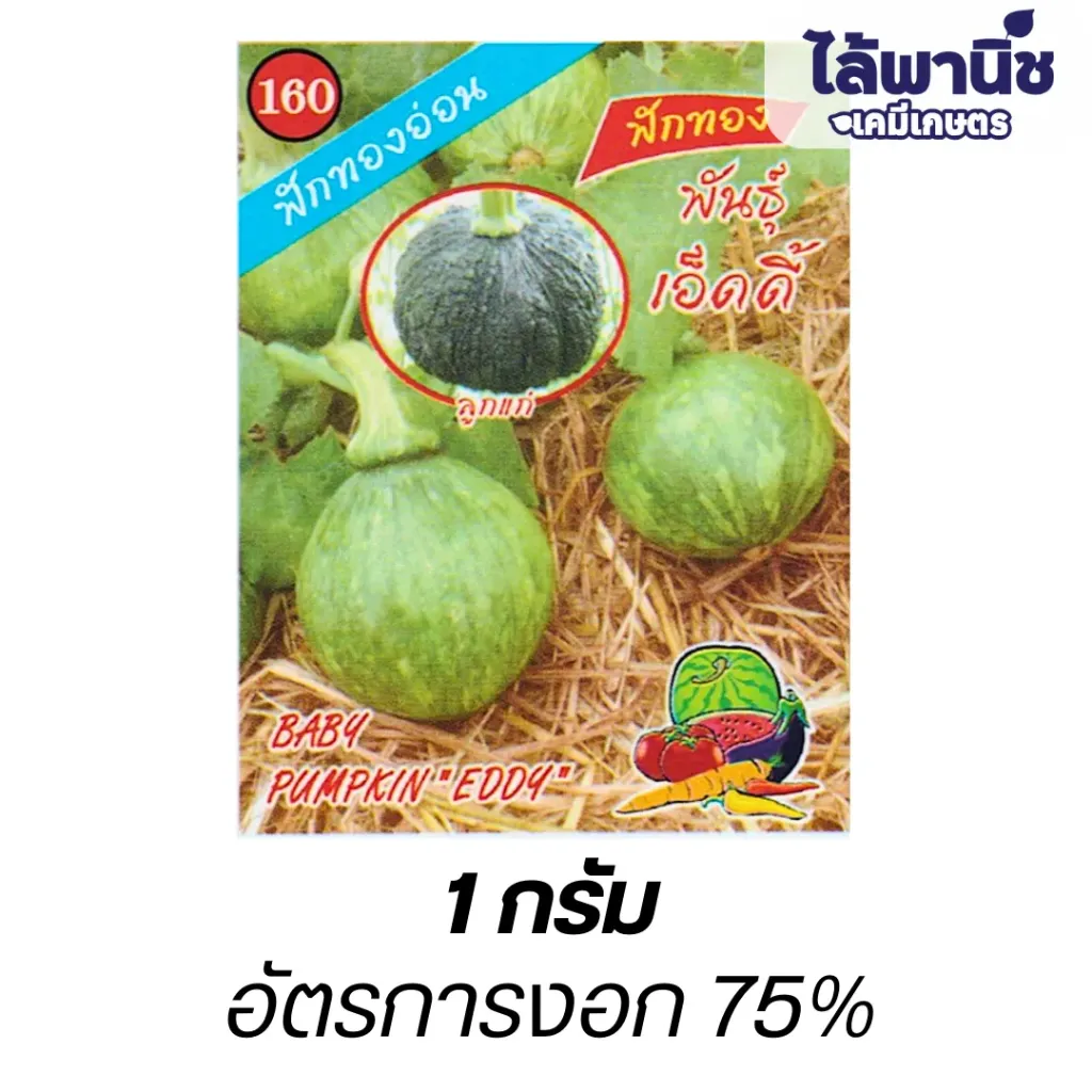 ฟักทองอ่อน พันธุ์เอ็ดดี้ (ตราตอง3) ซอง