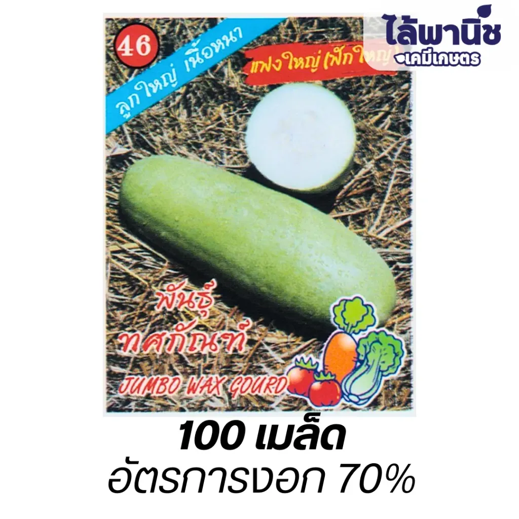 ฟักใหญ่ (ตราตอง3) ซอง